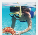 snorkelling