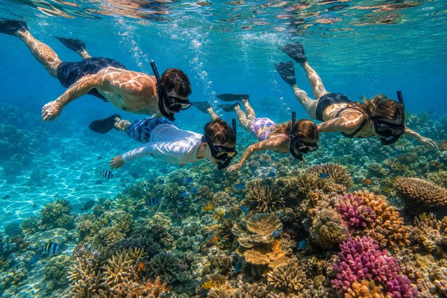 SNORKEL GEAR RENTAL