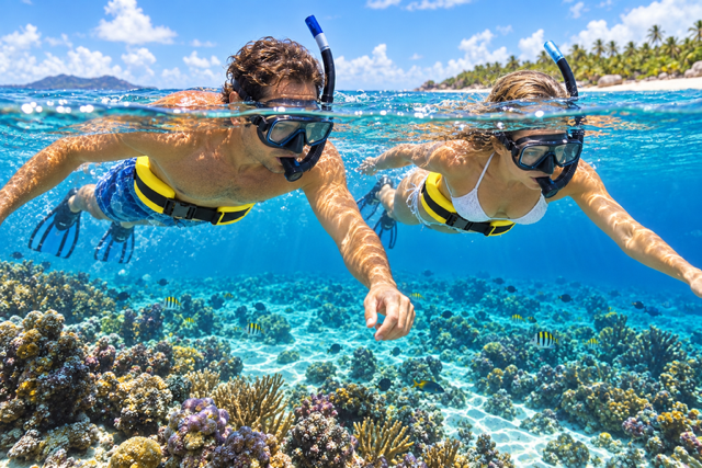 snorkel belt rentals